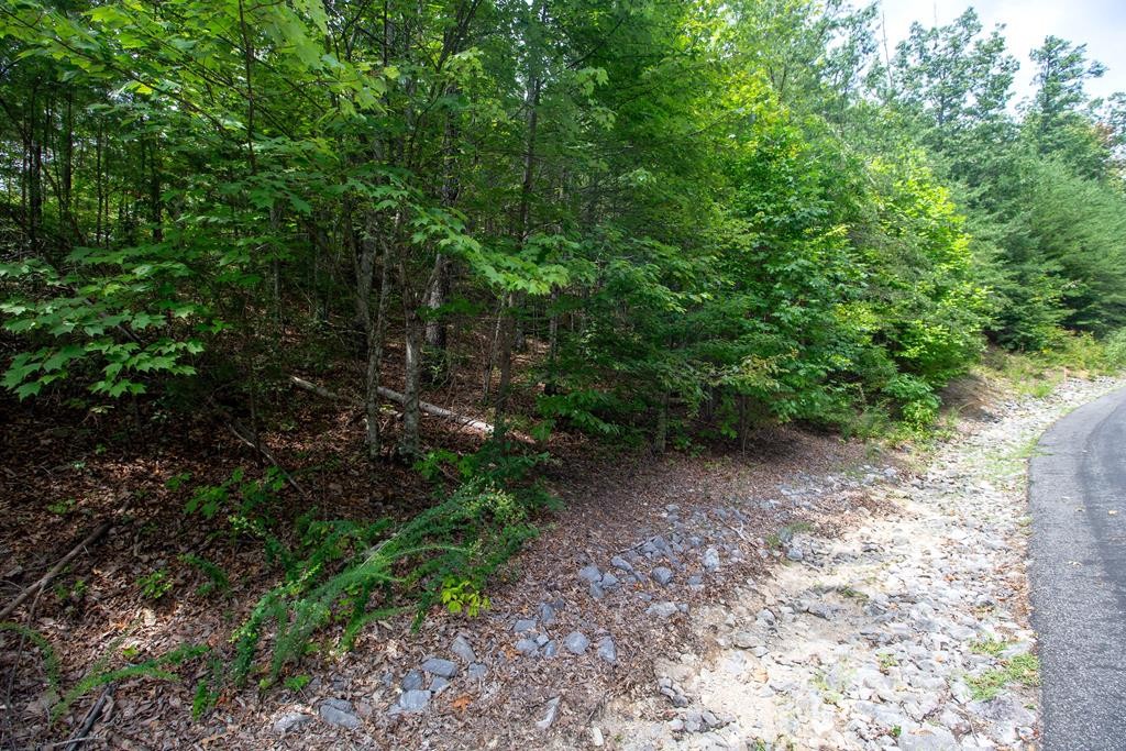 30 Ridgeback Lane Sevierville, TN 37862 - Photo 10 of 34