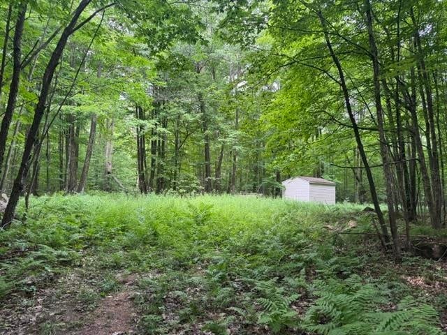 240701 Sawmill Road Wausau, WI 54403 - Photo 19 of 22 Gallery Image 19