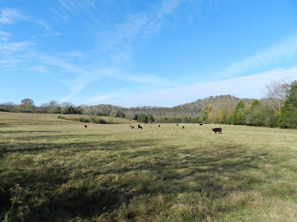 2144 Free State Road Gainesboro, TN 38562 - Photo 19 of 23 Gallery Image 19
