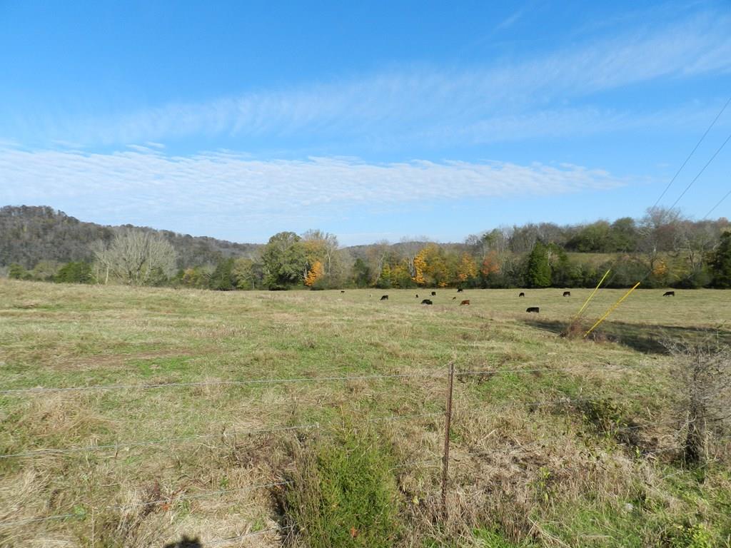 2144 Free State Road Gainesboro, TN 38562 - Photo 20 of 23 Gallery Image 20