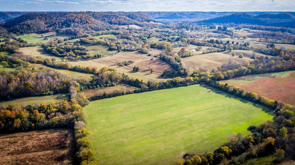 2144 Free State Road Gainesboro, TN 38562 - Photo 5 of 23 Gallery Image 5