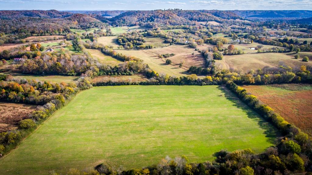 2144 Free State Road Gainesboro, TN 38562 - Photo 6 of 23 Gallery Image 6