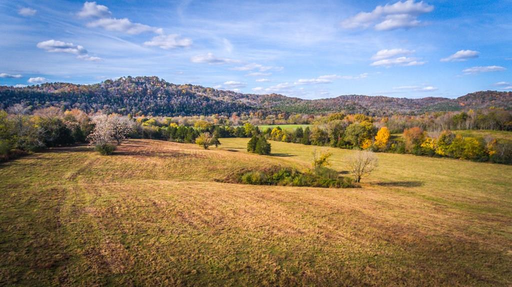 2144 Free State Road Gainesboro, TN 38562 - Photo 8 of 23 Gallery Image 8