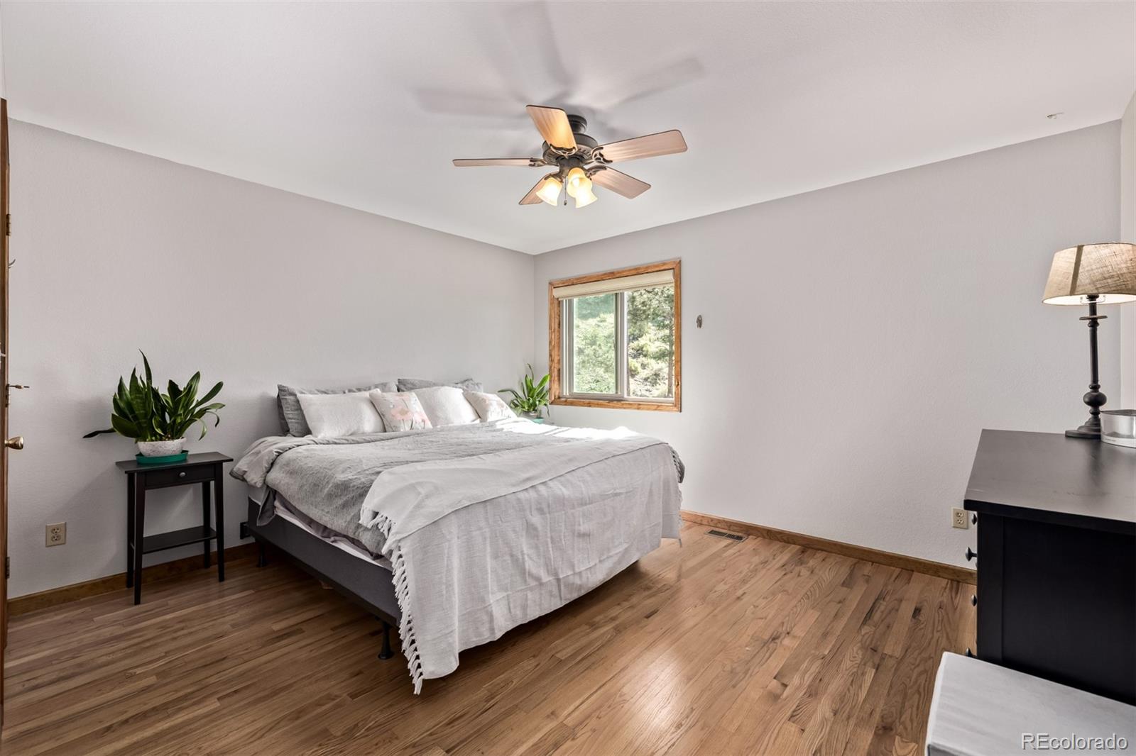 13950 Pine Valley Road Pine, CO 80470 - Photo 14 of 49 a bedroom with a bed and a potted plant