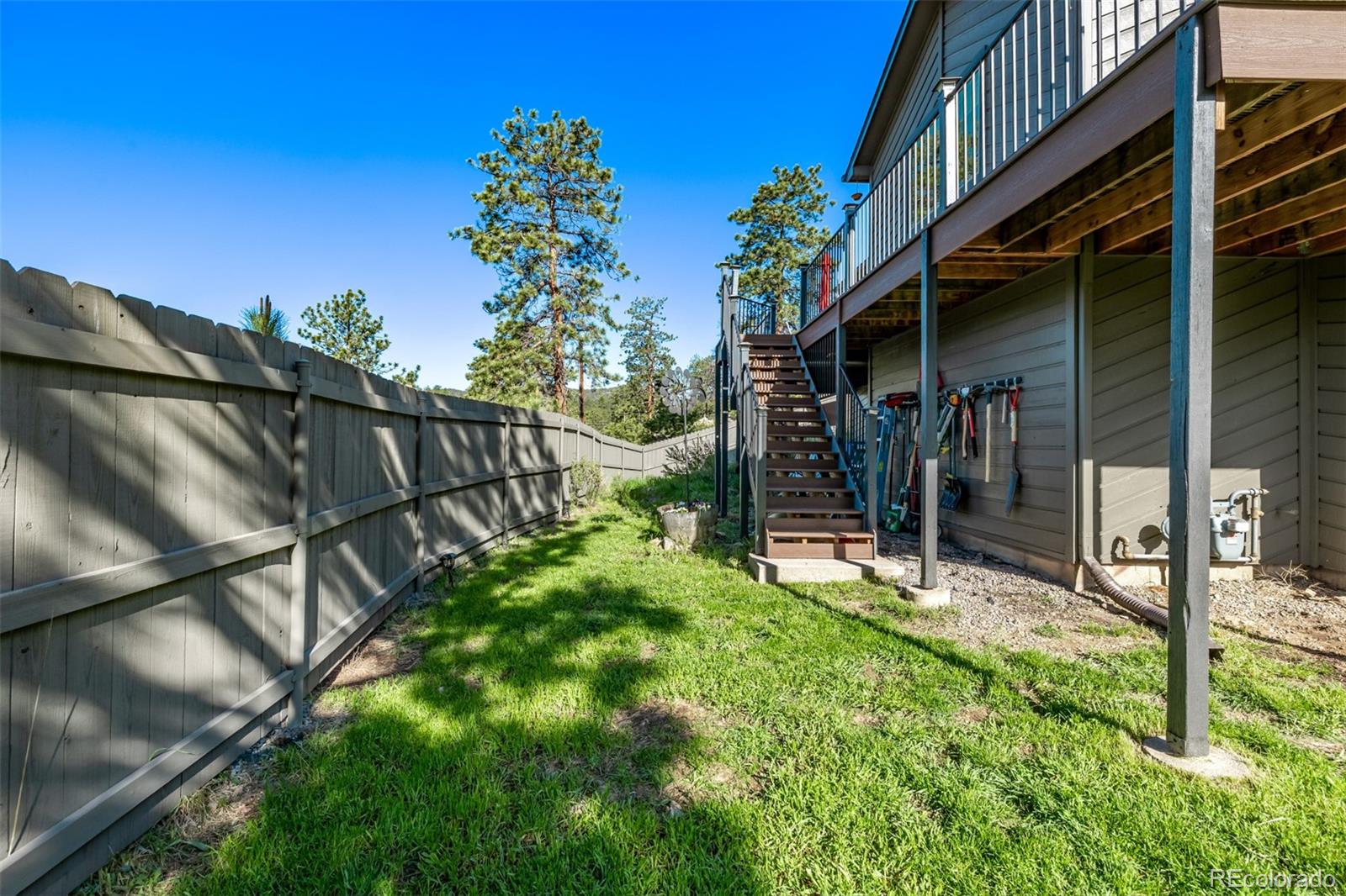 13950 Pine Valley Road Pine, CO 80470 - Photo 33 of 49 a view of a backyard with a tree