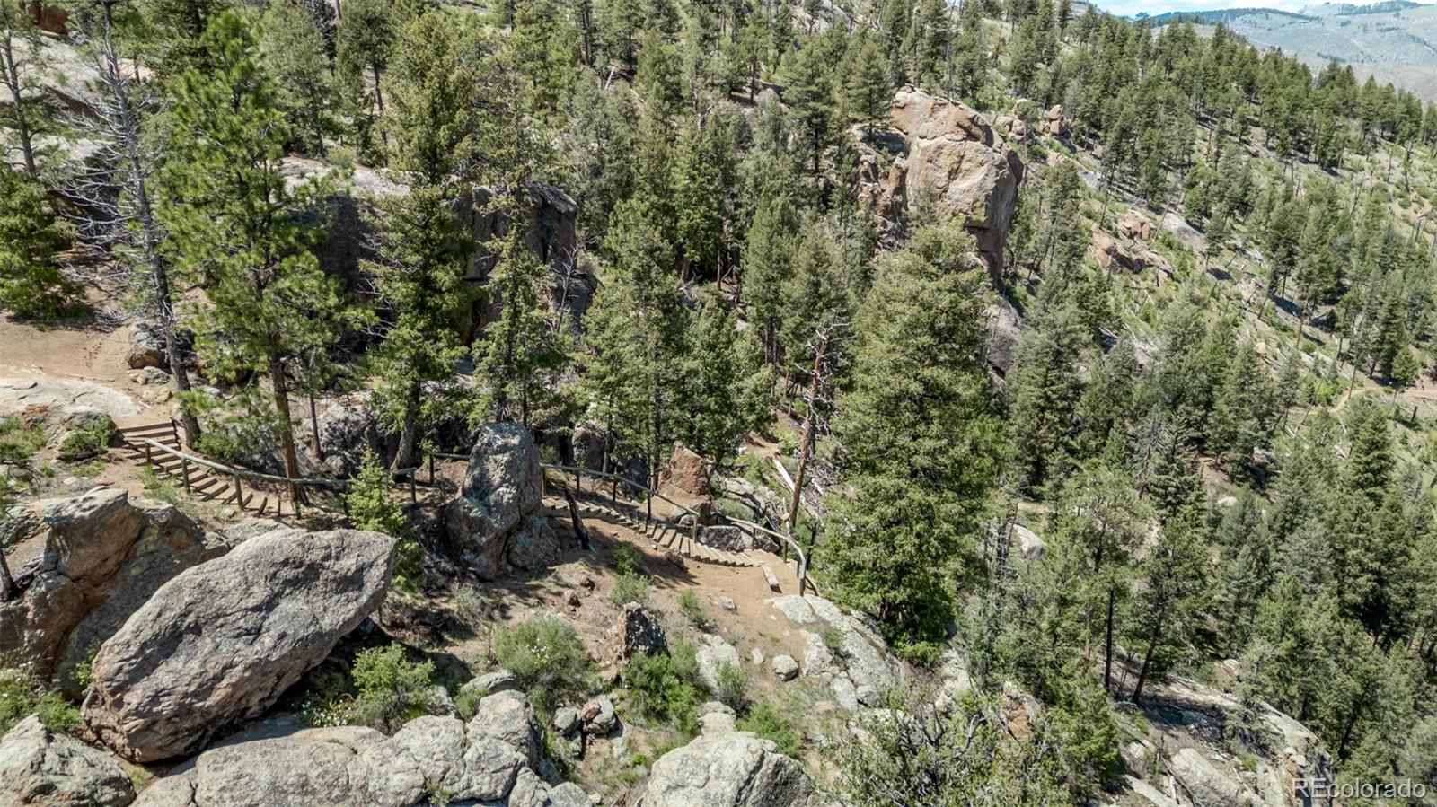 13950 Pine Valley Road Pine, CO 80470 - Photo 47 of 49 a view of a forest with a tree