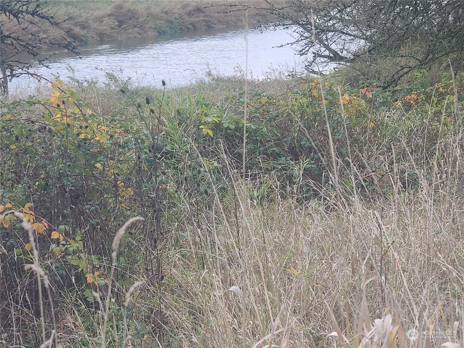 1919-next To Grade Street Kelso, WA 98626 - Photo 3 of 7 a view of a dry yard