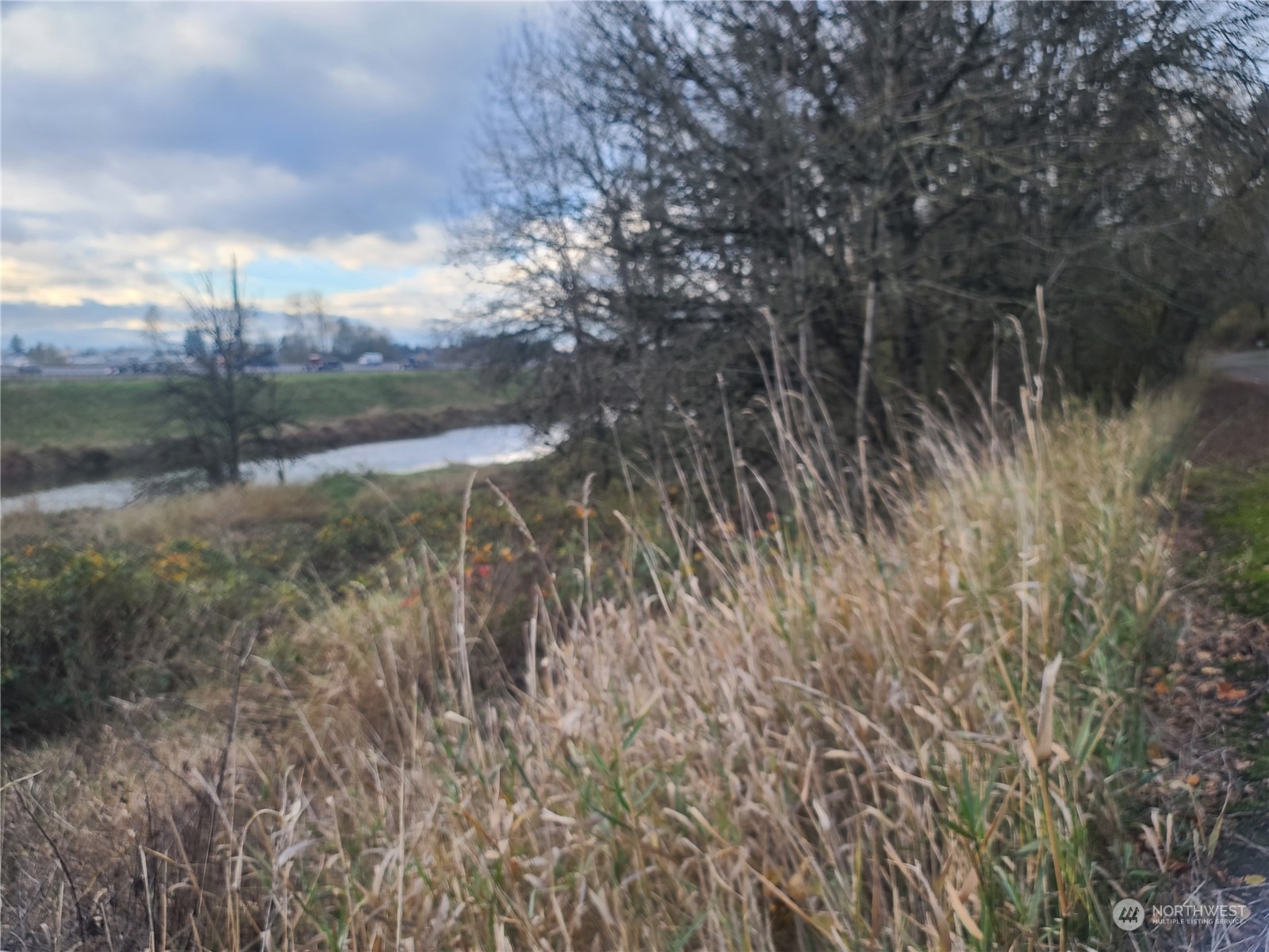 1919-next To Grade Street Kelso, WA 98626 - Photo 5 of 7 a view of a lake with a yard