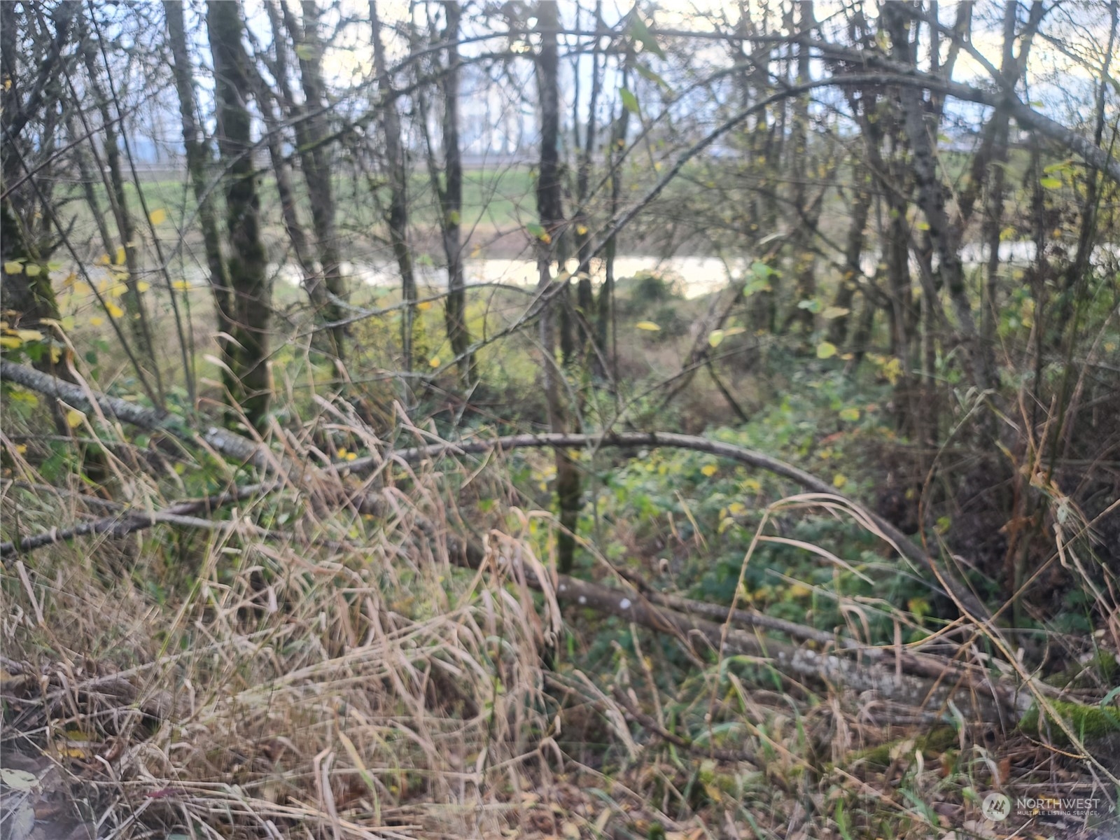 1919-next To Grade Street Kelso, WA 98626 - Photo 7 of 7 a view of outdoor space and a yard