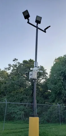 a view of a park with a tree
