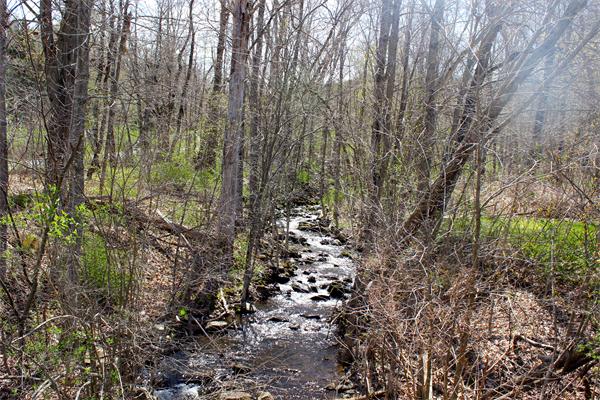 118 Washington Road Brimfield, MA 01010 - Photo 18 of 20 a view of a forest with trees