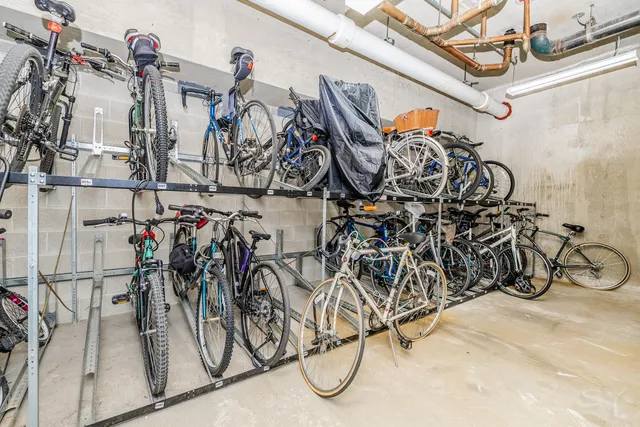 a room with furniture and potted plant