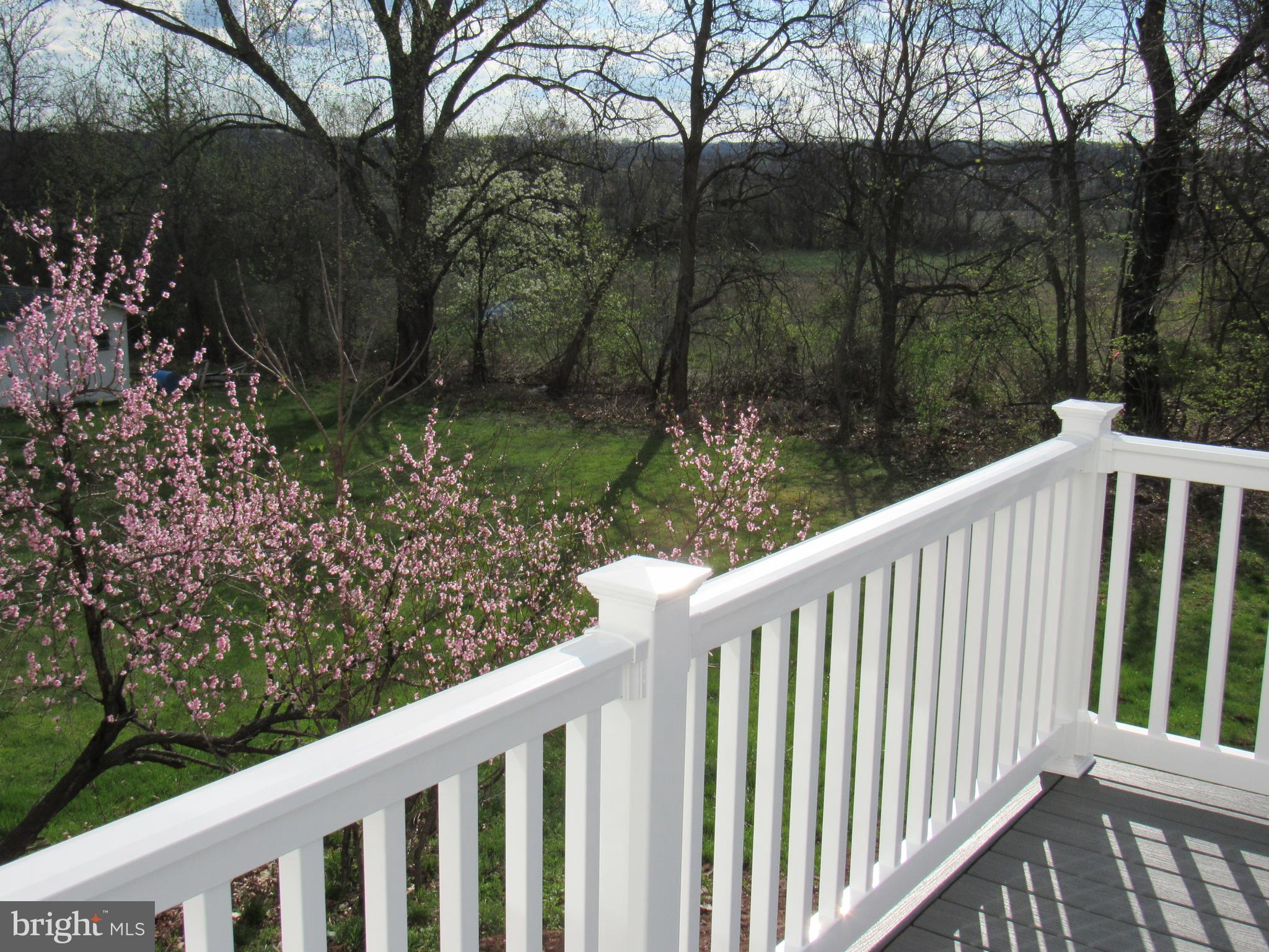 957 Spring City Road Phoenixville, PA 19460 - Photo 12 of 57 rolling country view off deck