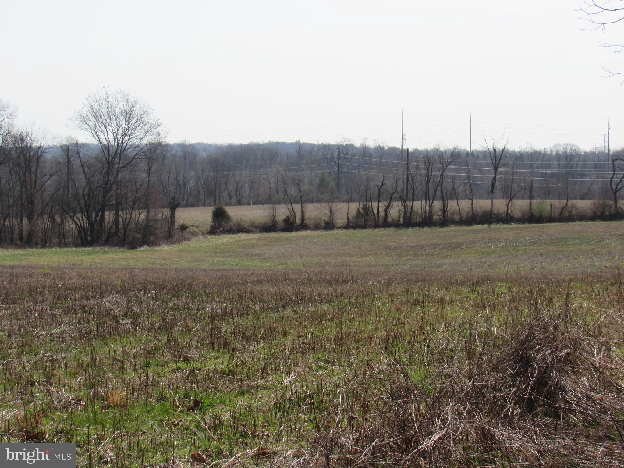957 Spring City Road Phoenixville, PA 19460 - Photo 51 of 57 rear yard view