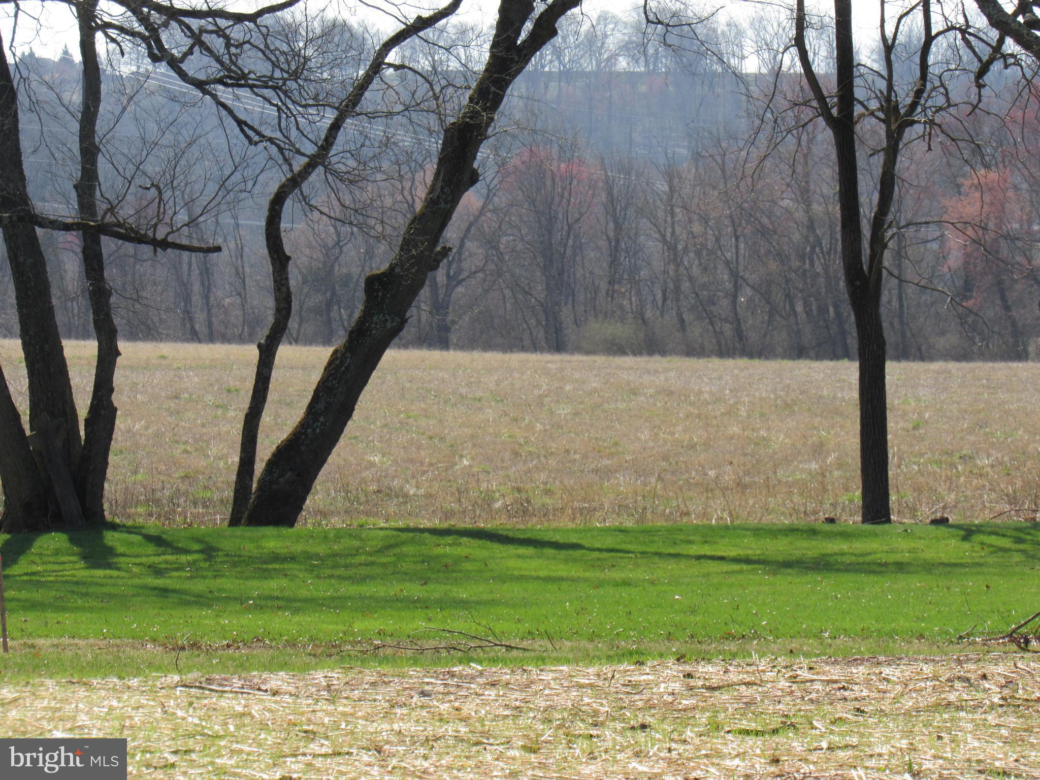 957 Spring City Road Phoenixville, PA 19460 - Photo 52 of 57 rear yard view