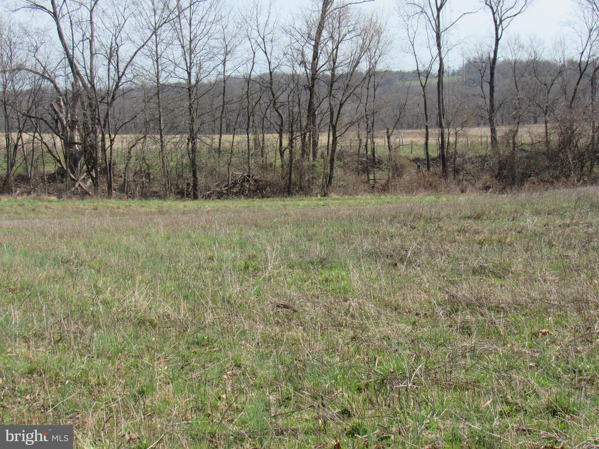 957 Spring City Road Phoenixville, PA 19460 - Photo 53 of 57 rear yard view