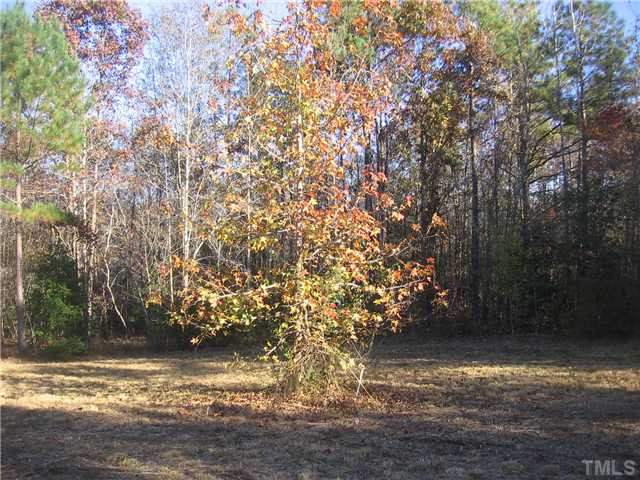 Spring Creek Road Castalia, NC 27816 - Photo 2 of 6 Photo 2