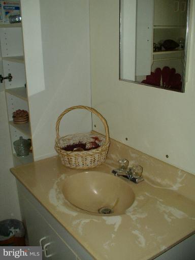 1010 Thunder Road Front Royal, VA 22630 - Photo 6 of 6 Bath (Master)