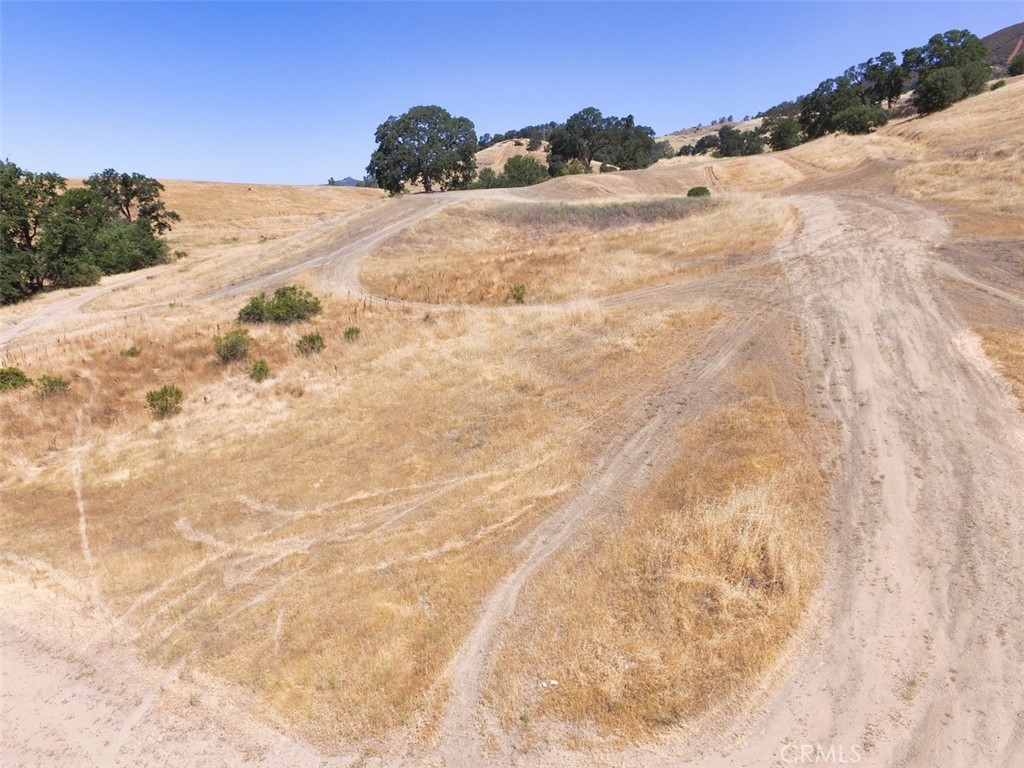 7532 Lake Street Nice, CA 95464 - Photo 3 of 7 a view of a dry yard with a tree