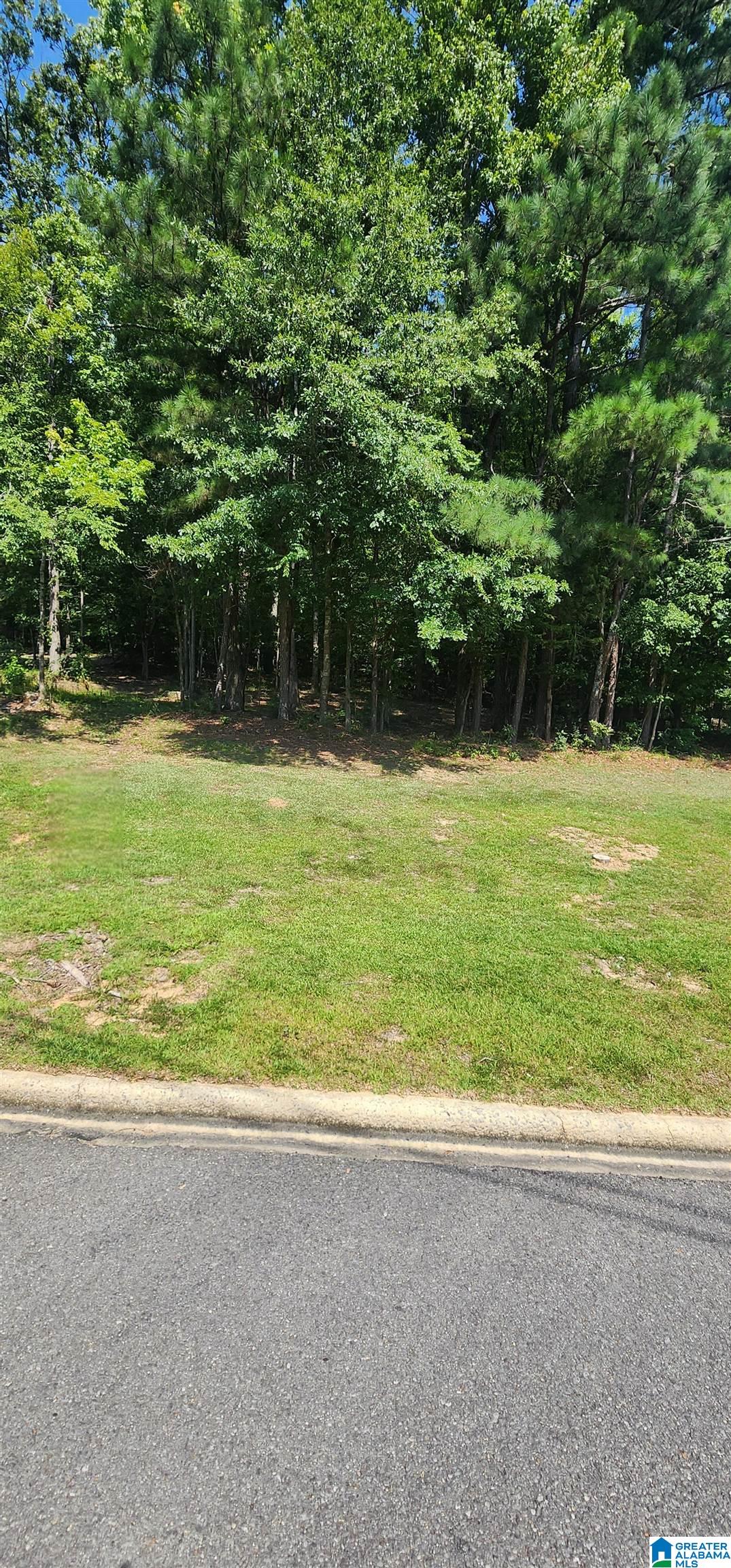 0 Quail Ridge Road Oneonta, AL 35121 - Photo 1 of 2