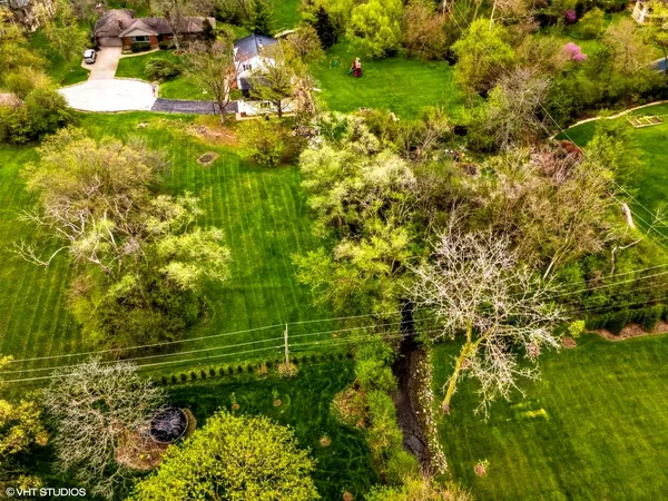 a view of a yard