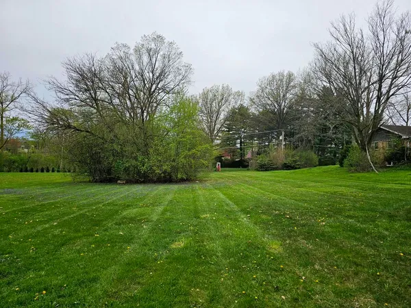 a view of a park with large trees