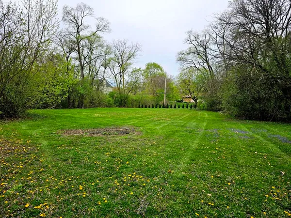 a view of a grassy field with trees