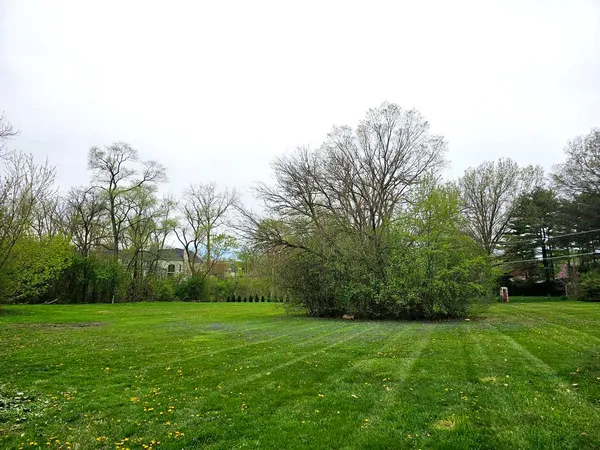 a view of a field with trees in the background