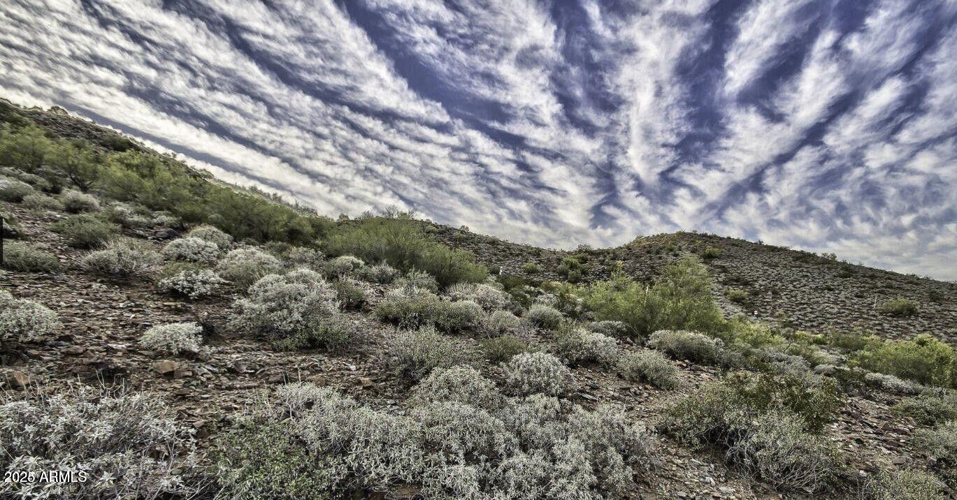 2703 East Friess Drive, Unit 5 Phoenix, AZ 85032 - Photo 1 of 7 a view of a large trees with lots of bushes