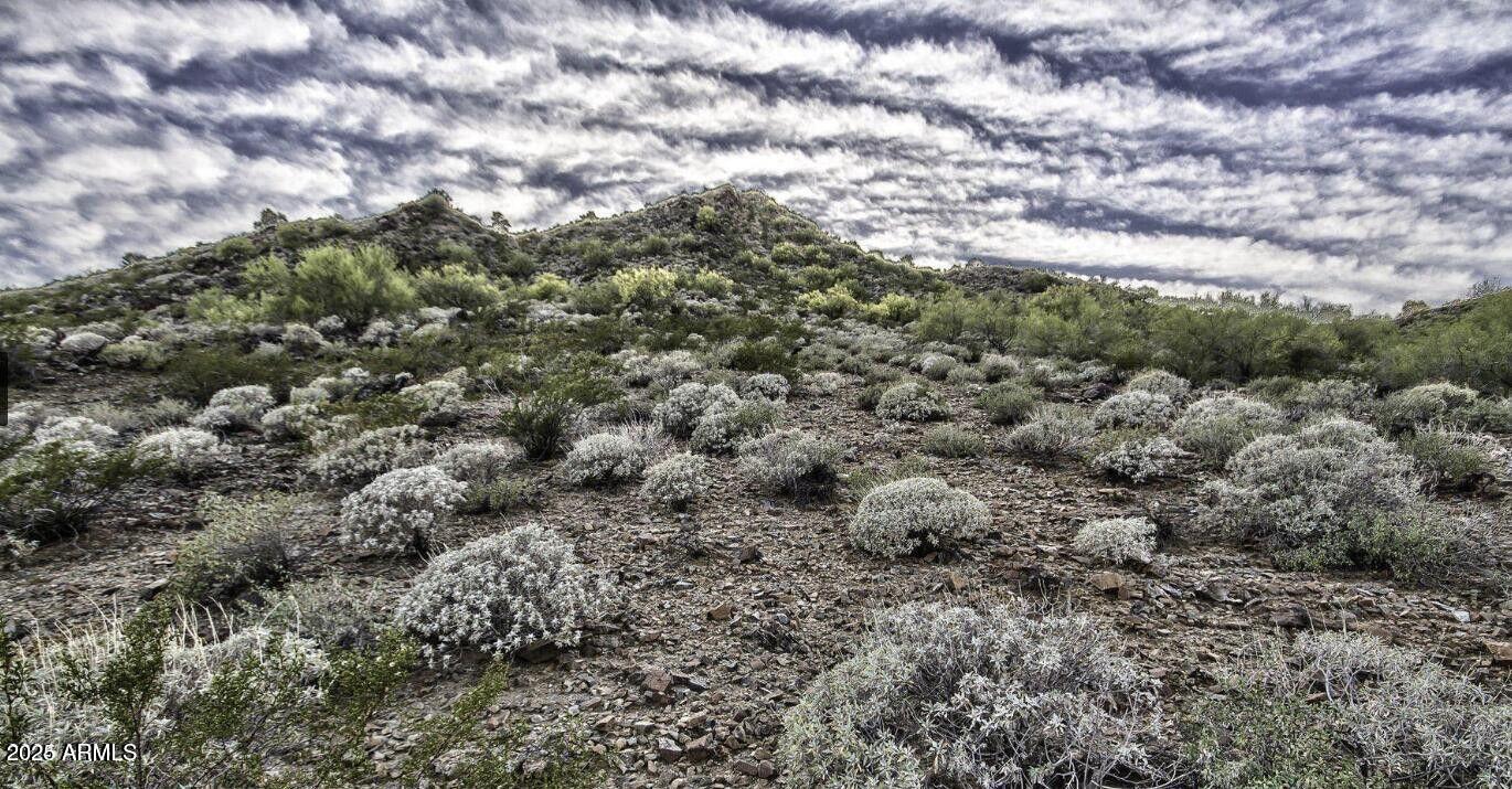 2703 East Friess Drive, Unit 5 Phoenix, AZ 85032 - Photo 2 of 7 a view of a covered with green space