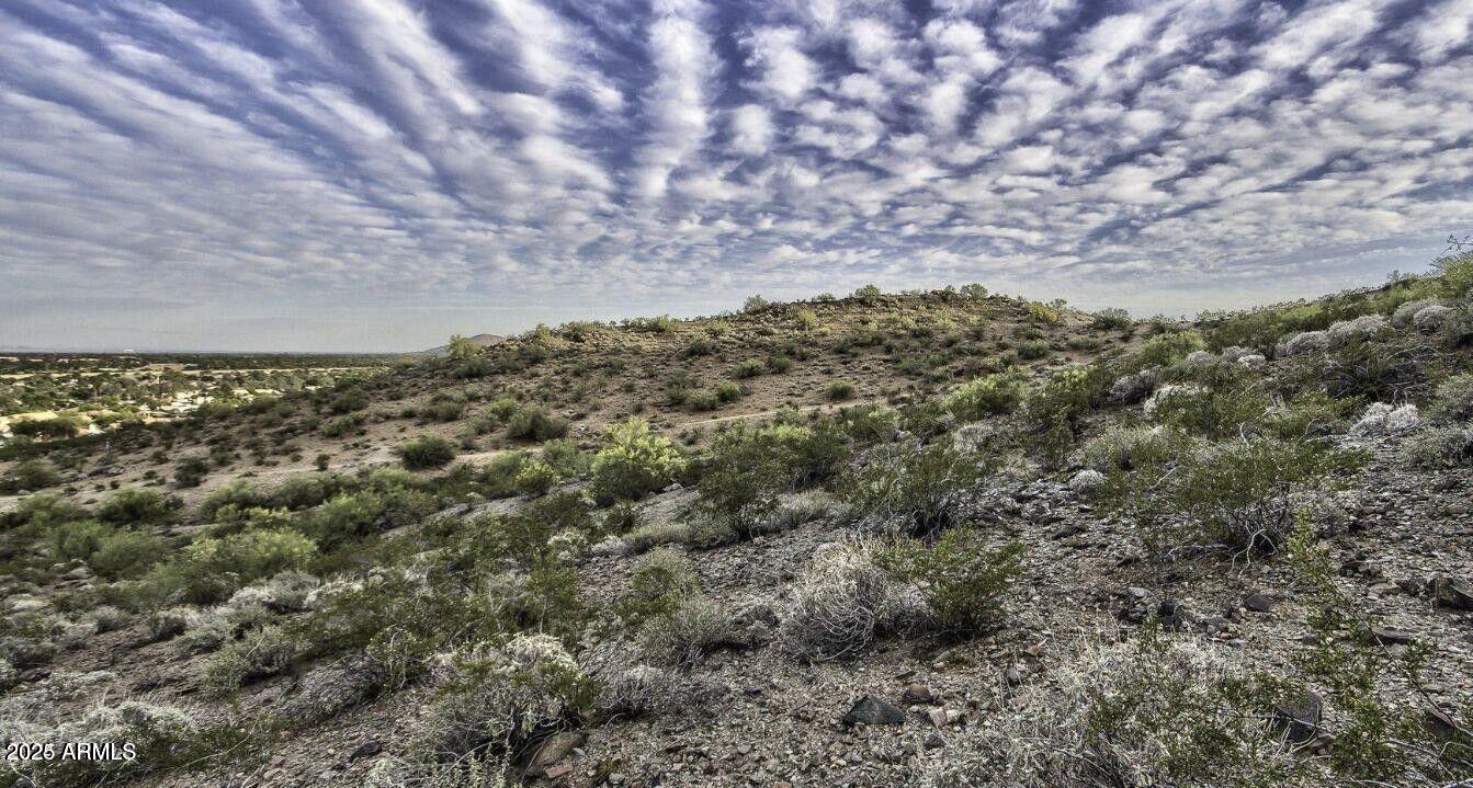 2703 East Friess Drive, Unit 5 Phoenix, AZ 85032 - Photo 3 of 7 a view of a field