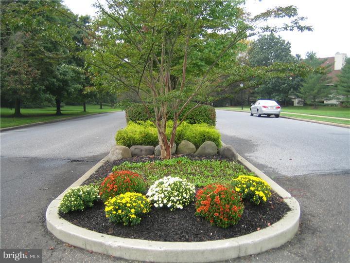 242 Tavistock Road Cherry Hill, NJ 08034 - Photo 2 of 12