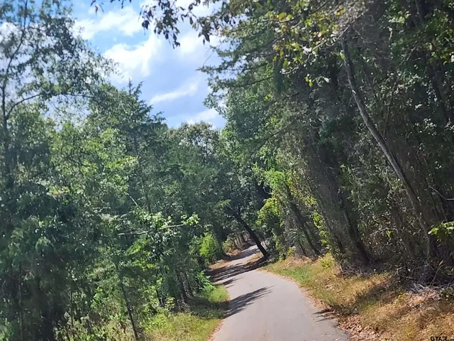 $48,700 | 5 County Road 1762, Jefferson, TX 75657