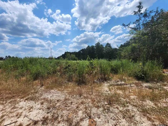 a view of a lake with a yard
