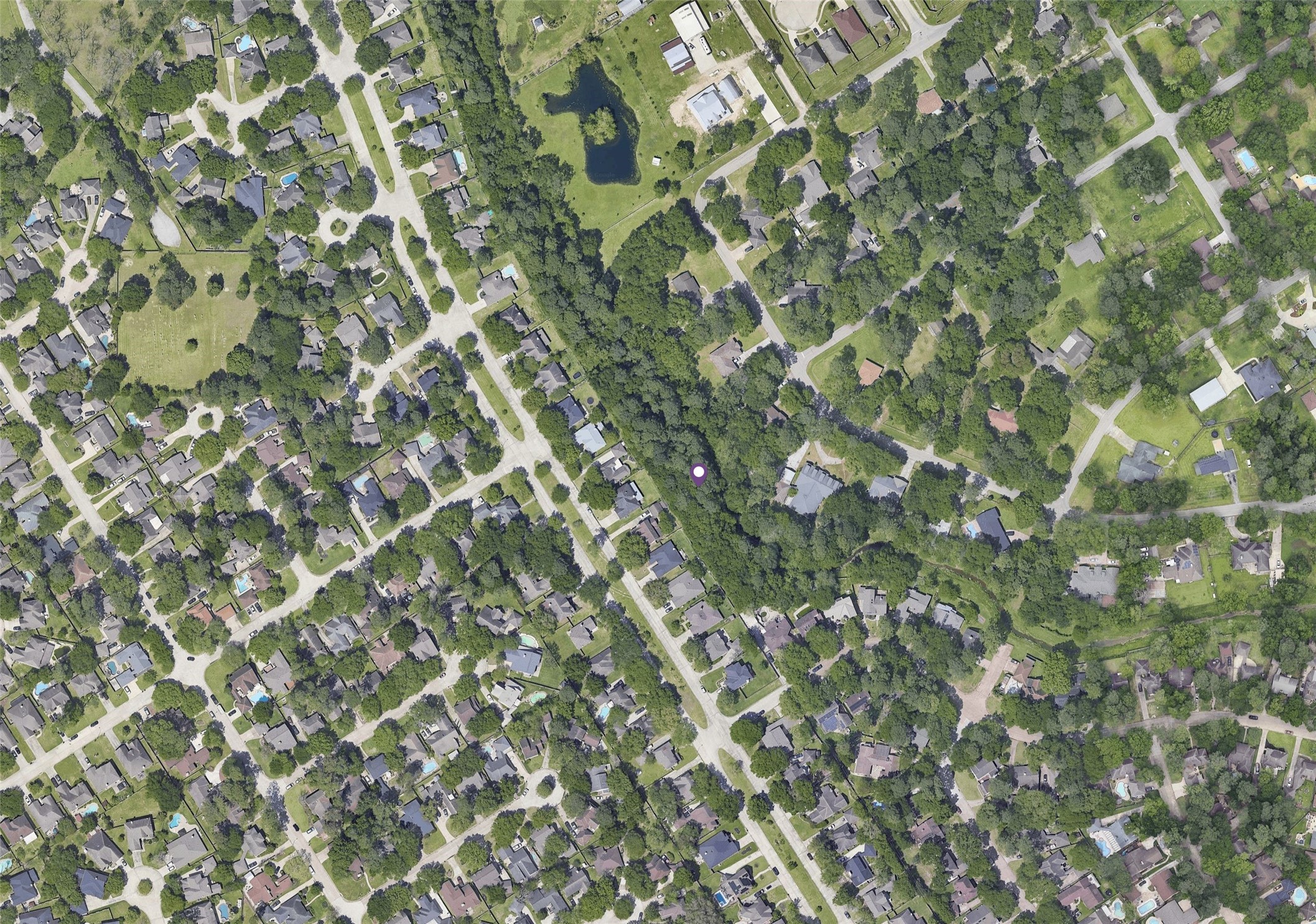 a close up of a plant