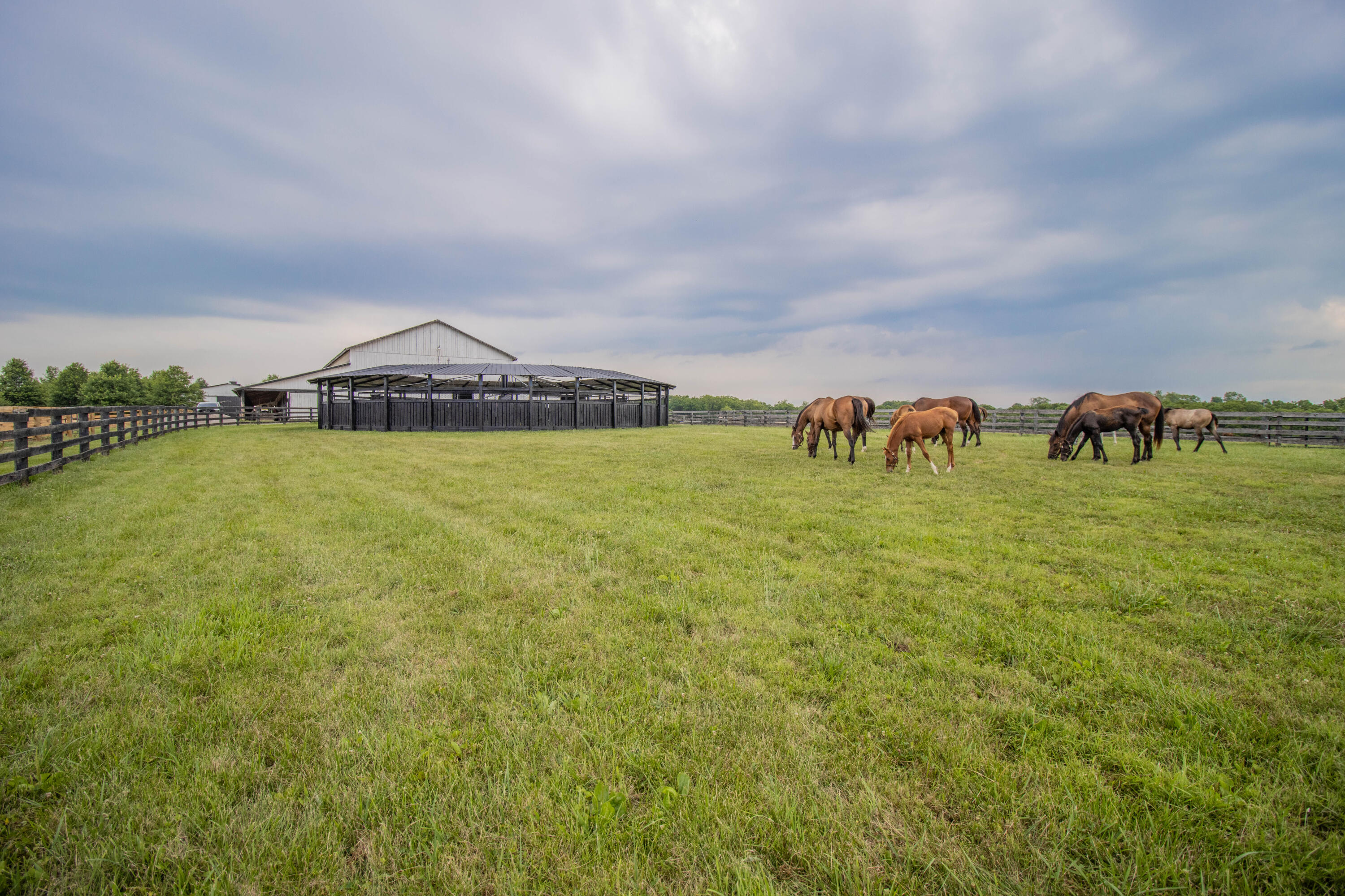 700 Cane Ridge Road Paris, KY 40361 - Photo 41 of 74 IMG_6718