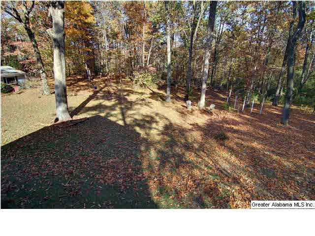 5278 Elm Road Mount Olive, AL 35117 - Photo 22 of 30