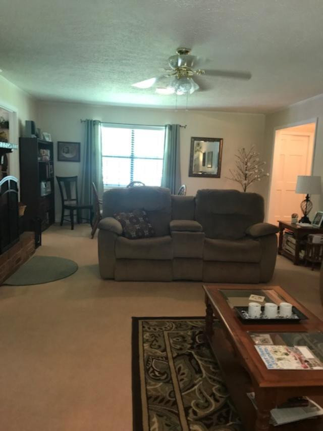 231 Redds Branch Road Aiken, SC 29801 - Photo 2 of 11