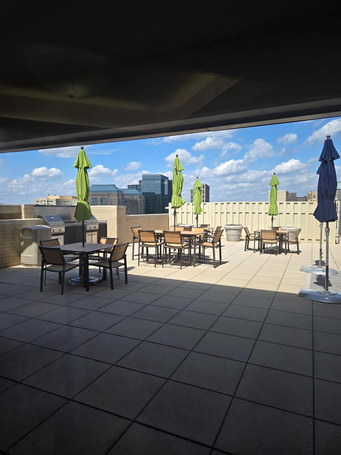 11800 Sunset Hills Road, Unit 509 Reston, VA 20190 - Photo 36 of 37 Grilling and dinning area