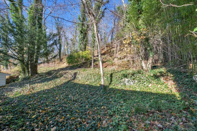 a backyard of a house with lots of green space