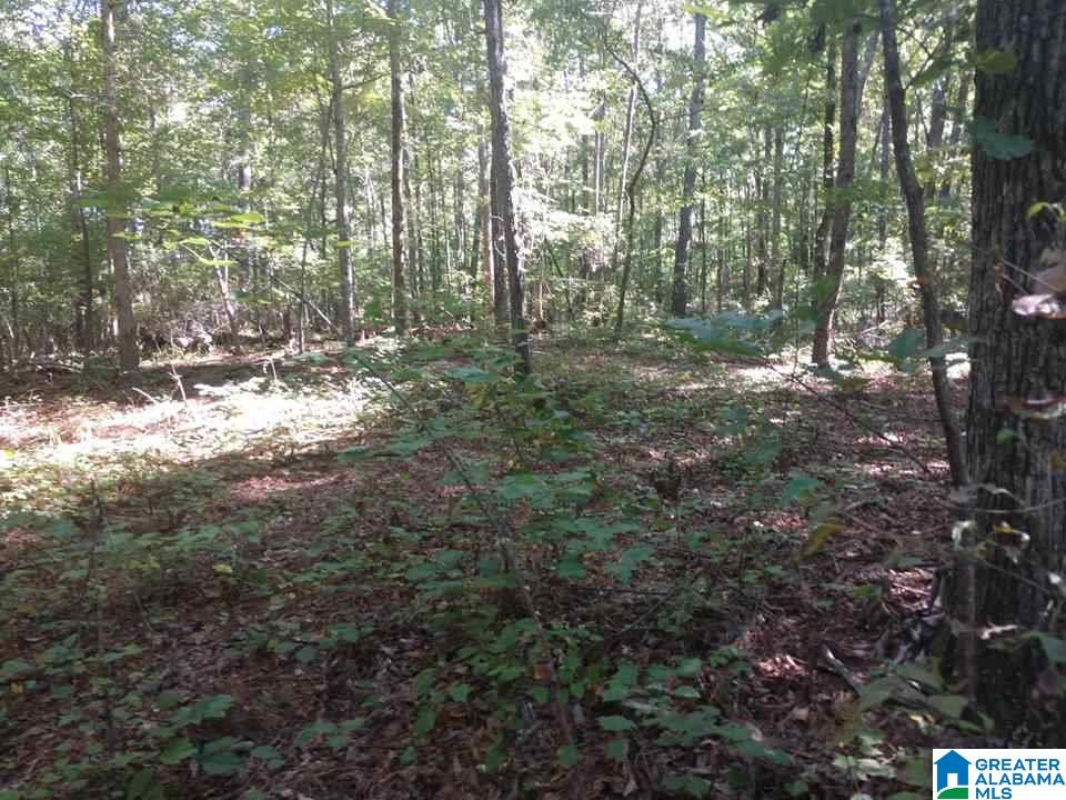 8571 Ruth Drive Bessemer, AL 35023 - Photo 1 of 4