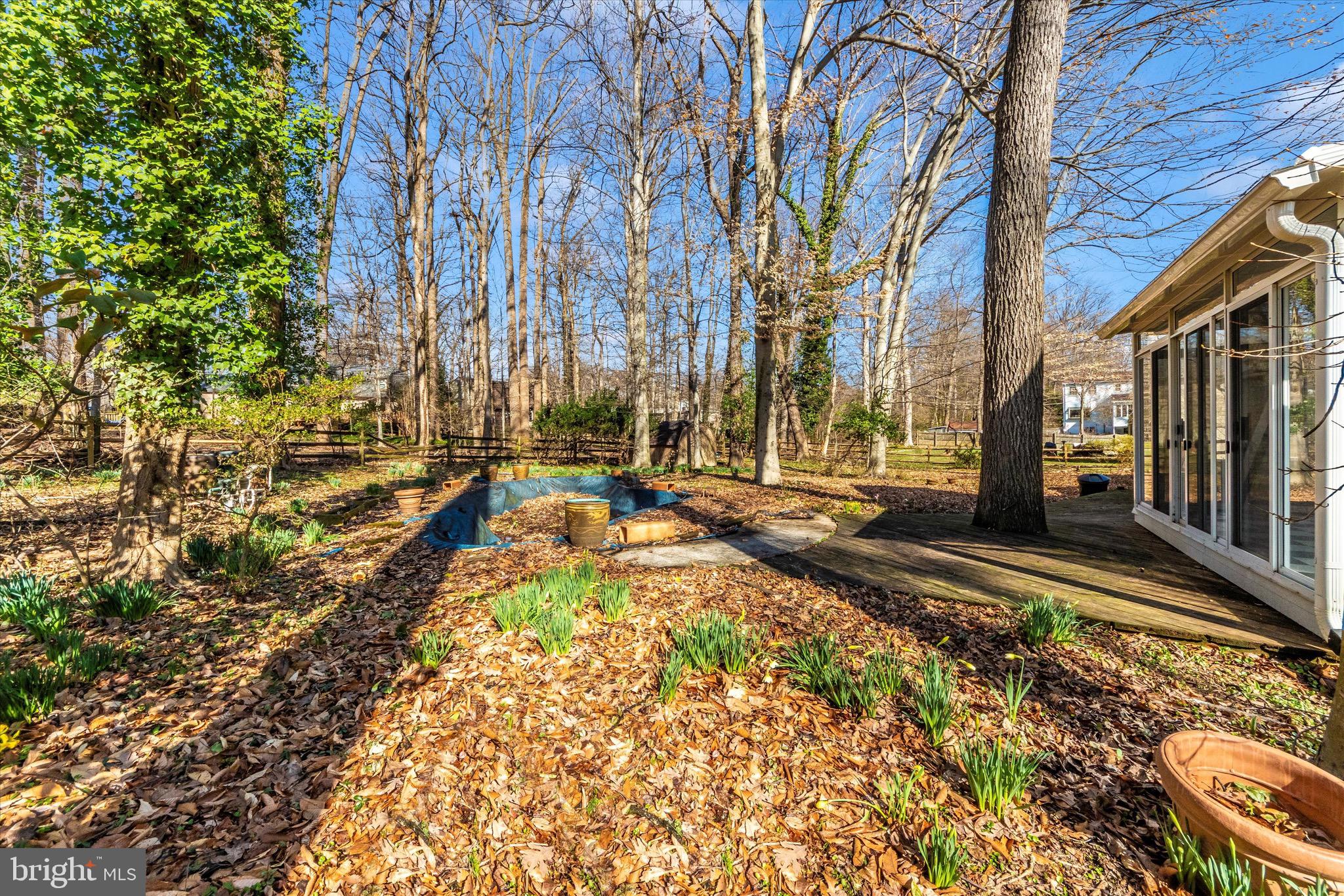 5086 Durham Road West Columbia, MD 21044 - Photo 7 of 51 Backyard