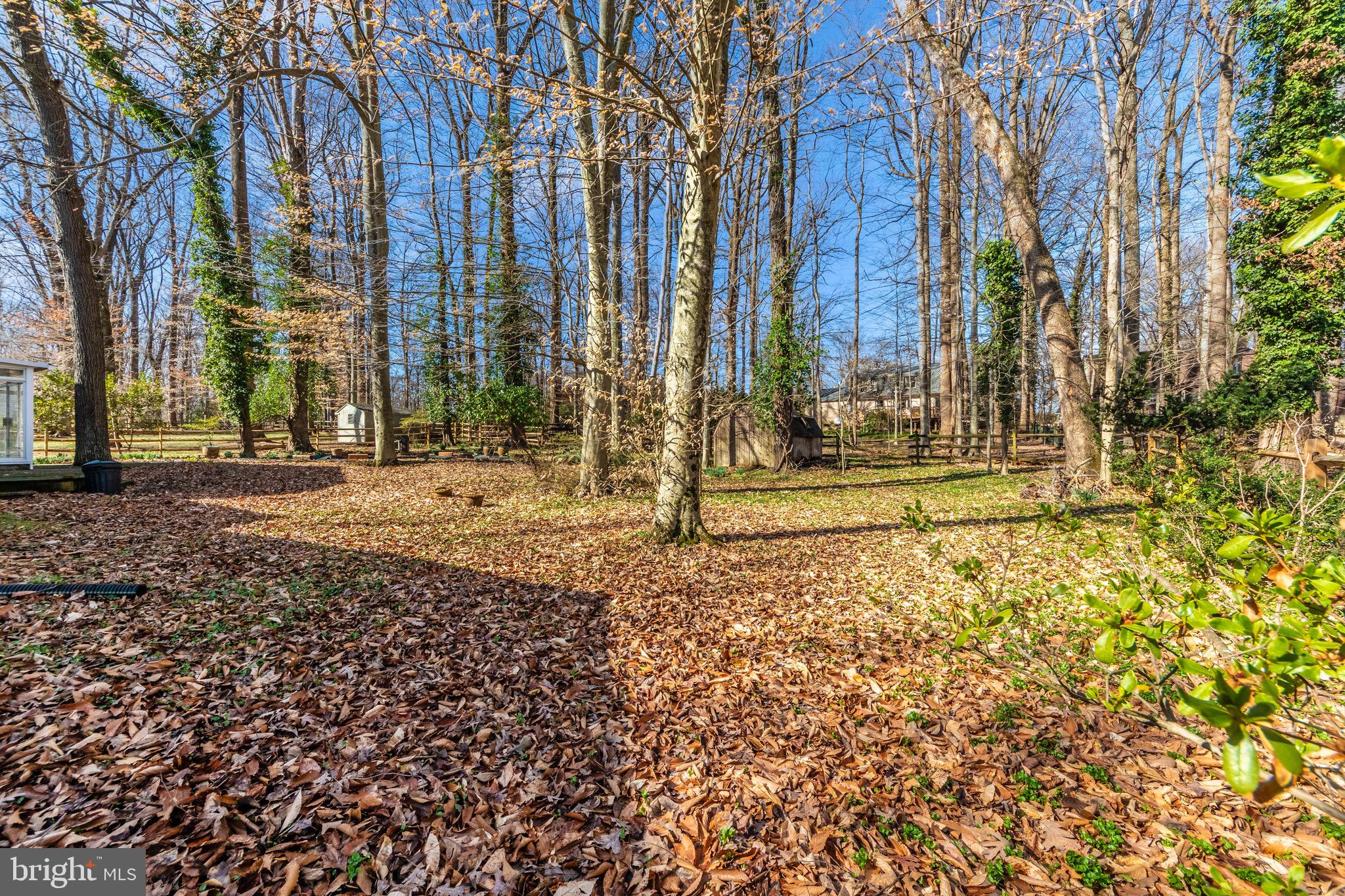 5086 Durham Road West Columbia, MD 21044 - Photo 8 of 51 Backyard
