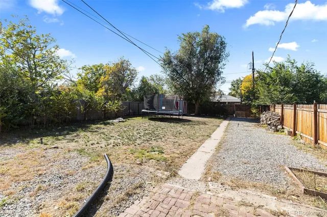 a view of a yard with a tree