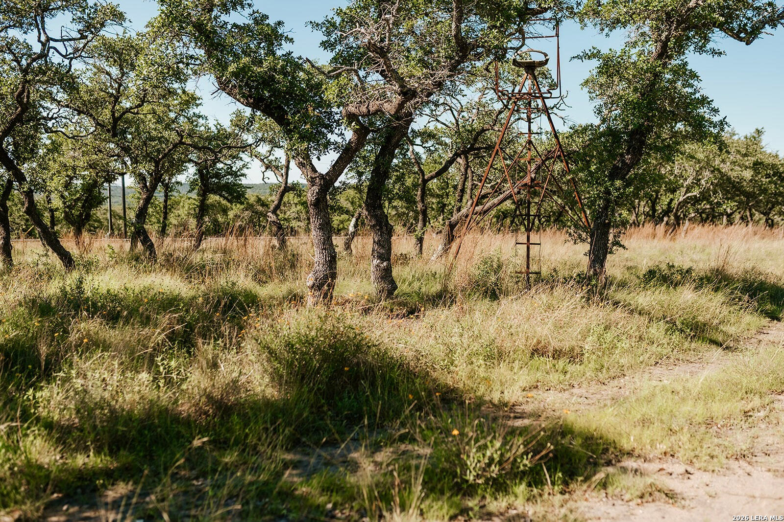 Tbd Brecken Ranch Road Stonewall, TX 78671 - Photo 6 of 20 Gallery Image 6