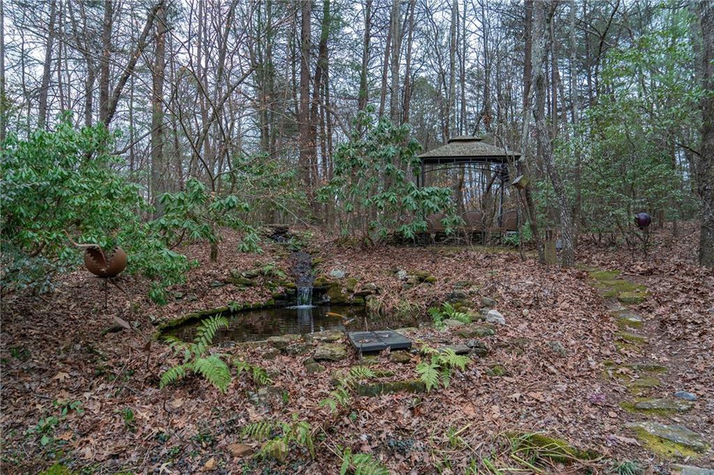 561 Cartecay Trace Ellijay, GA 30536 - Photo 41 of 55