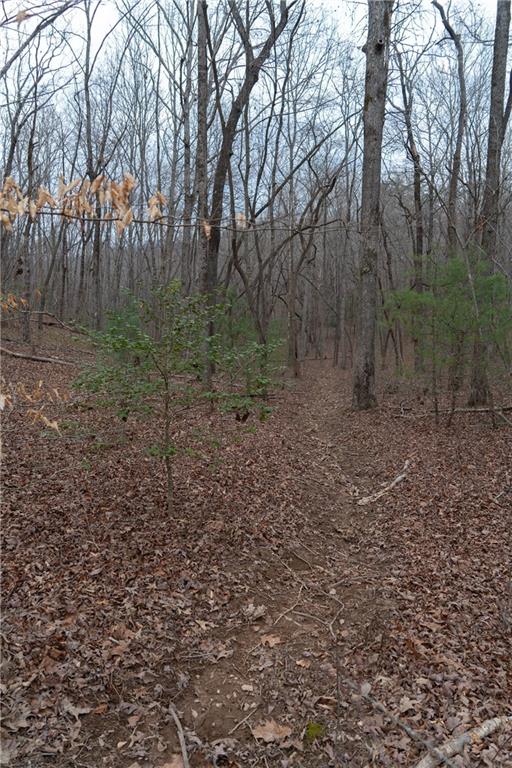 561 Cartecay Trace Ellijay, GA 30536 - Photo 42 of 55