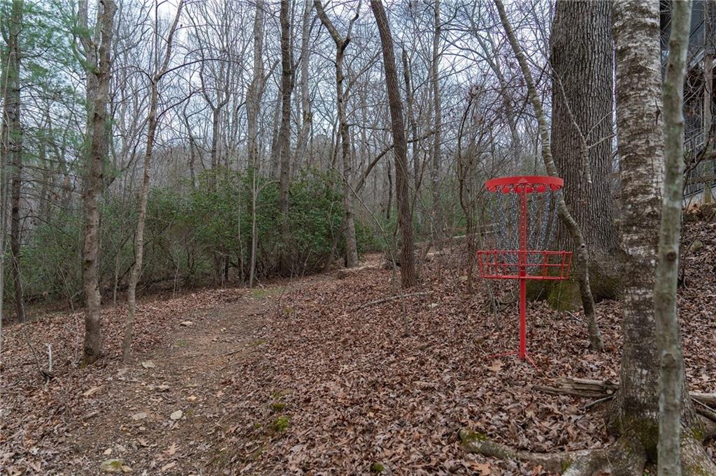 561 Cartecay Trace Ellijay, GA 30536 - Photo 43 of 55