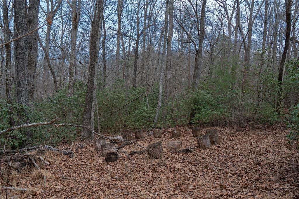 561 Cartecay Trace Ellijay, GA 30536 - Photo 44 of 55