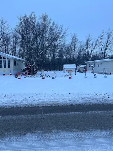 a view of a fire pit with large trees
